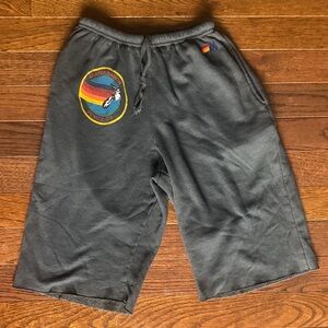 Aviator Nation mens long sweatshorts